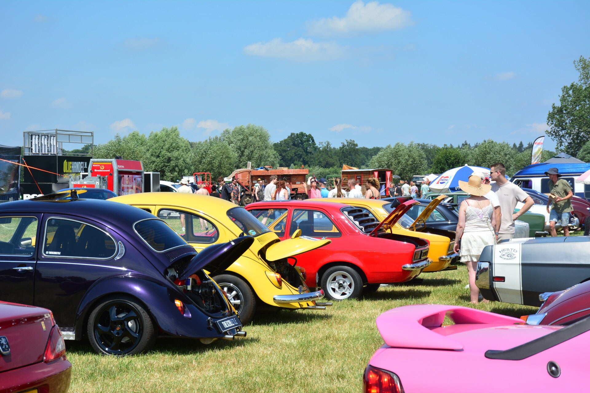 dsc_0080-standard-iw4y0p.jpg