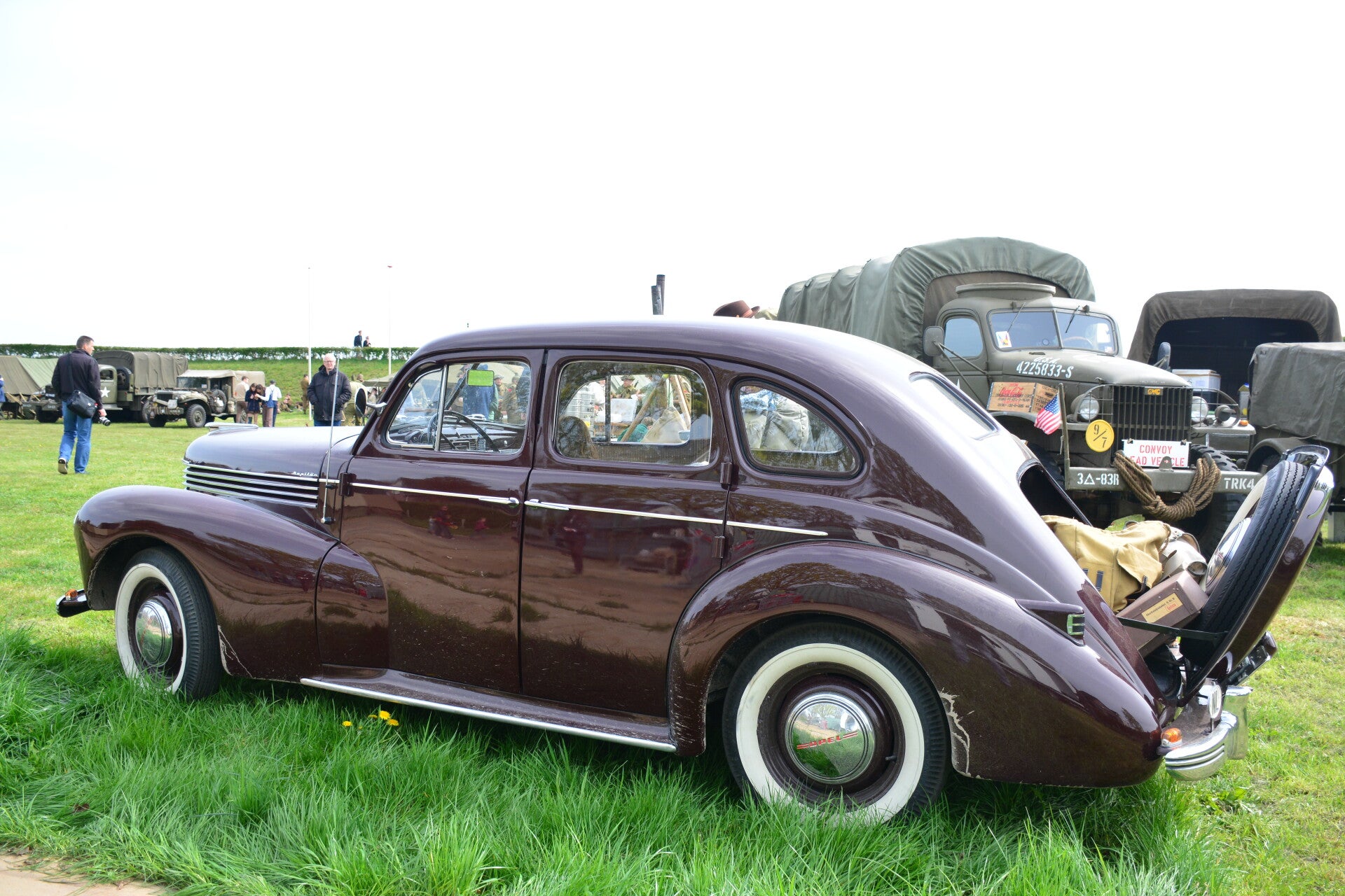 dsc_0174-standard-vrt7yn.jpg