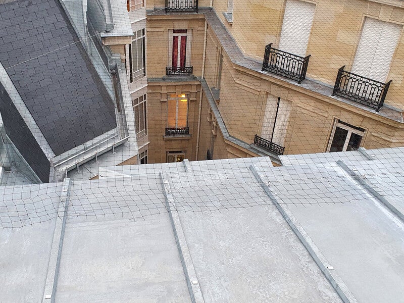 filets-anti-pigeons-nuisances-fientes-standard.jpg
