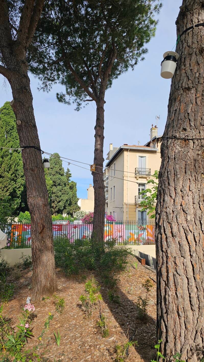 Installation des pièges à papillons à Montpellier 