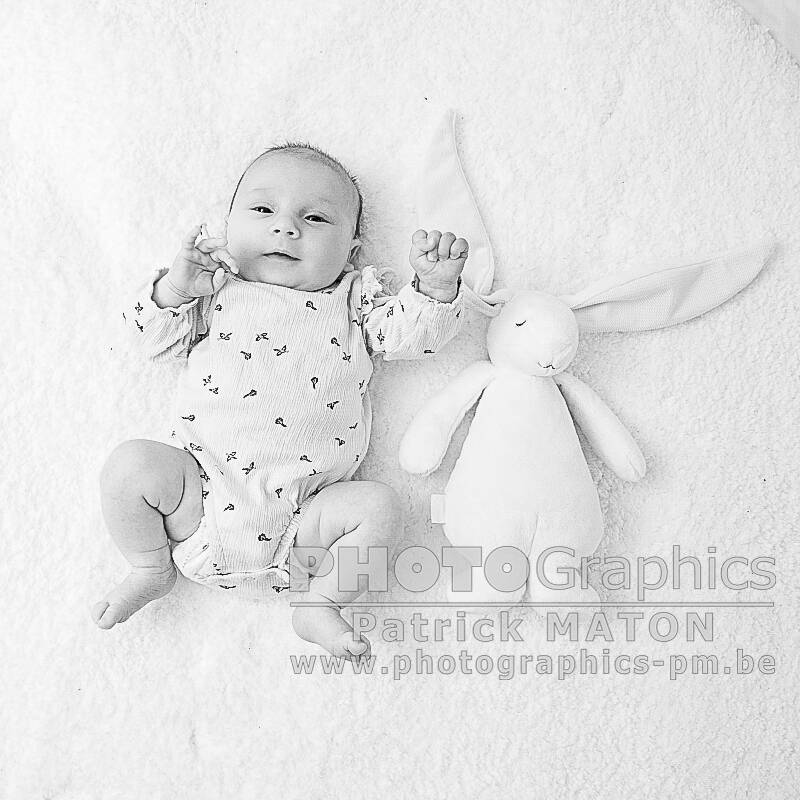 lia-001web_02-2-standard.jpg