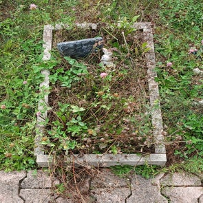 20240905_152828-standard.jpg