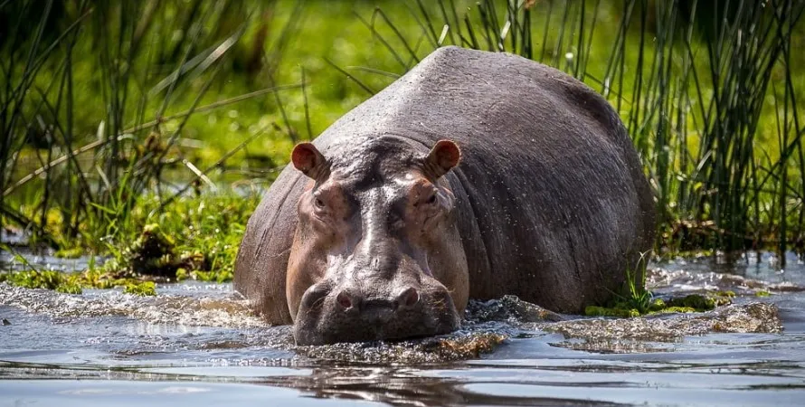 Reisdagboek Uganda