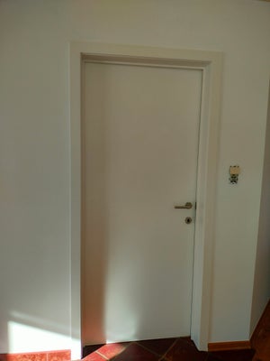 img20250217123625-standard-0c6q5c.jpg