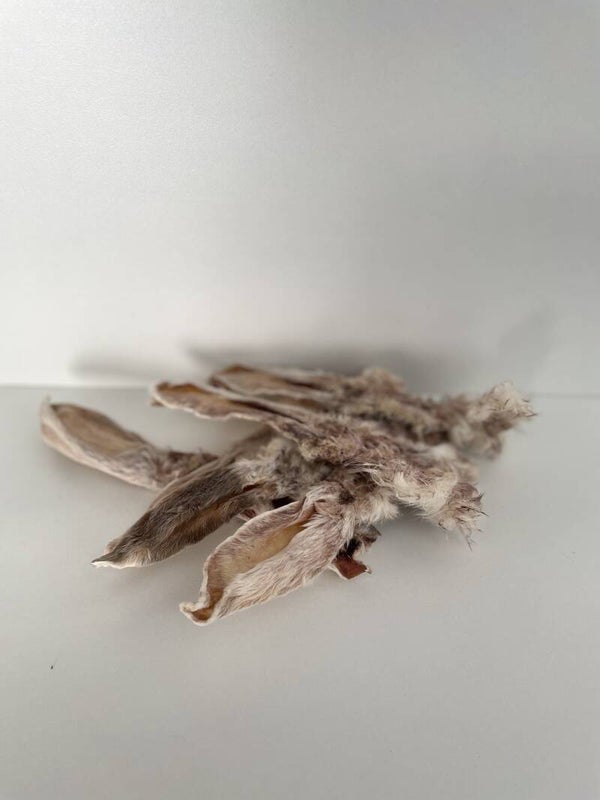 Gedroogde konijnenoren