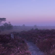 08-09-21-6-standard-w9y13t.jpg