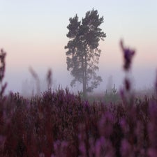 08-09-21-8-standard-jqpayy.jpg
