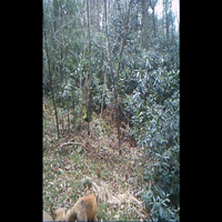 image00002-1.png
