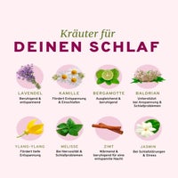 kr-uter-f-r-deinen-schlaf-standard-g8zo8t.jpg