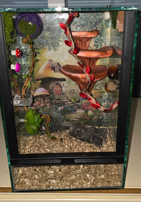 Verblijf Deluxe "FairyTail" Glas.