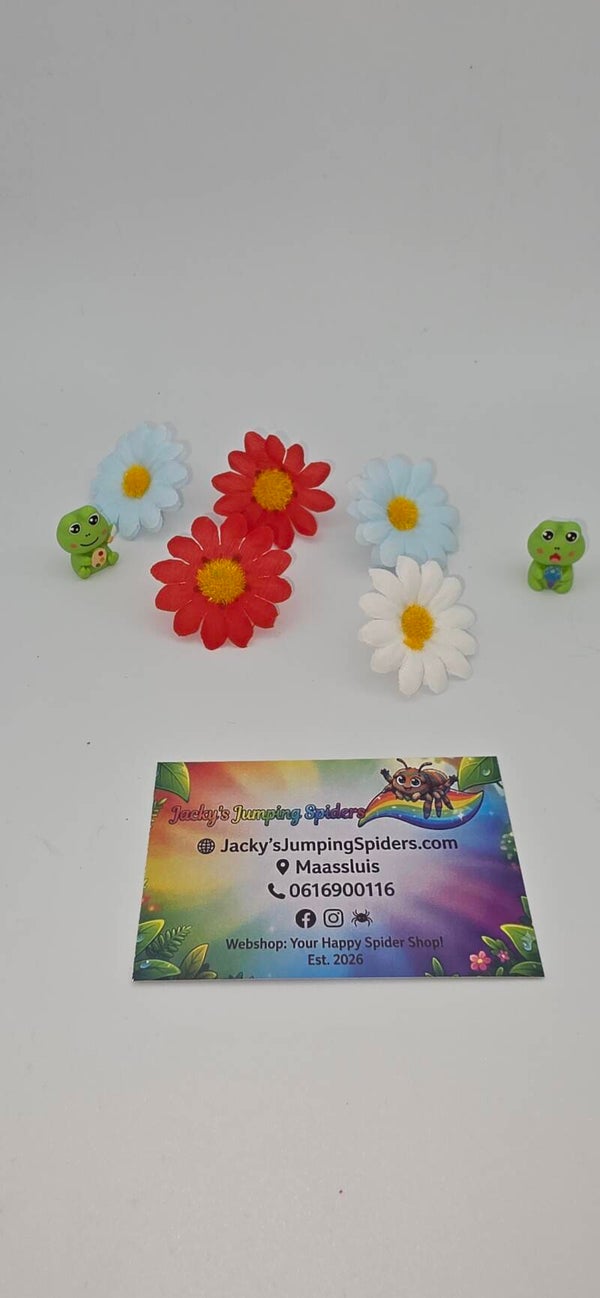 Decoratie "Flowers"