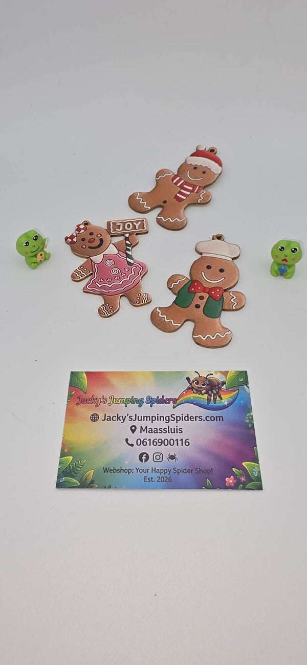 Decoratie "PeperkoekMannetje"