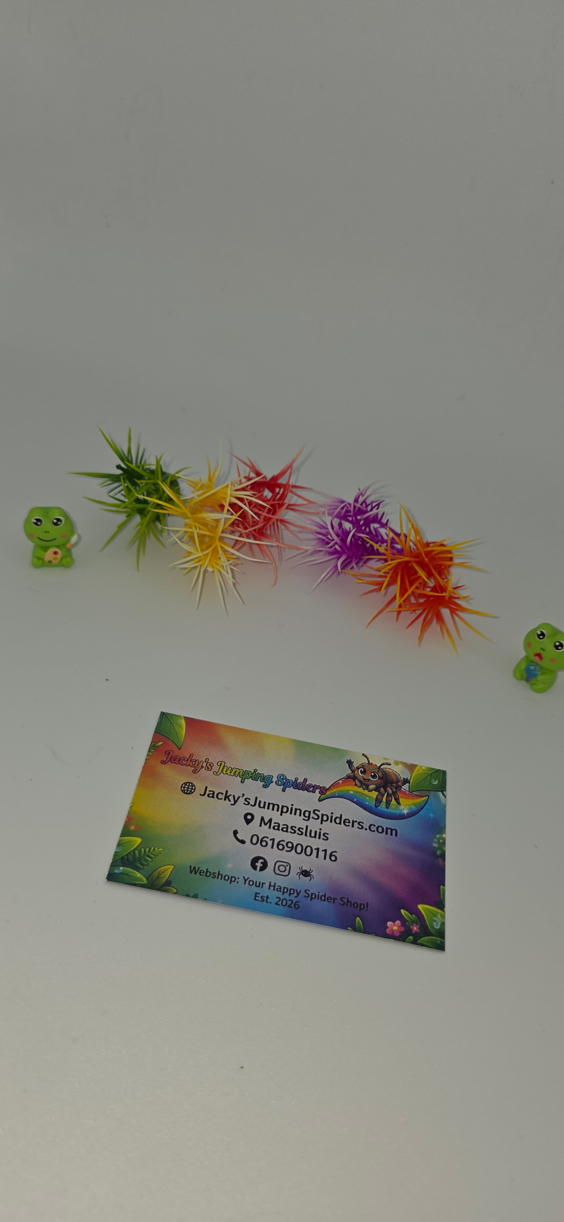 Decoratie "Plantjes"