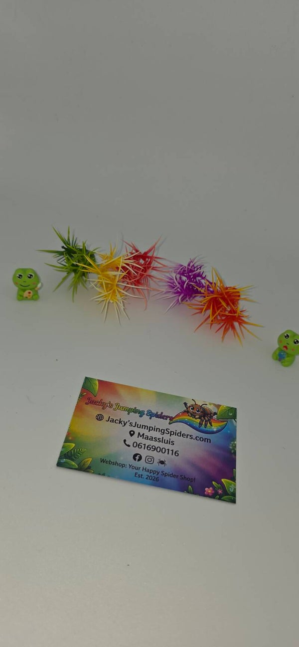 Decoratie "Plantjes"