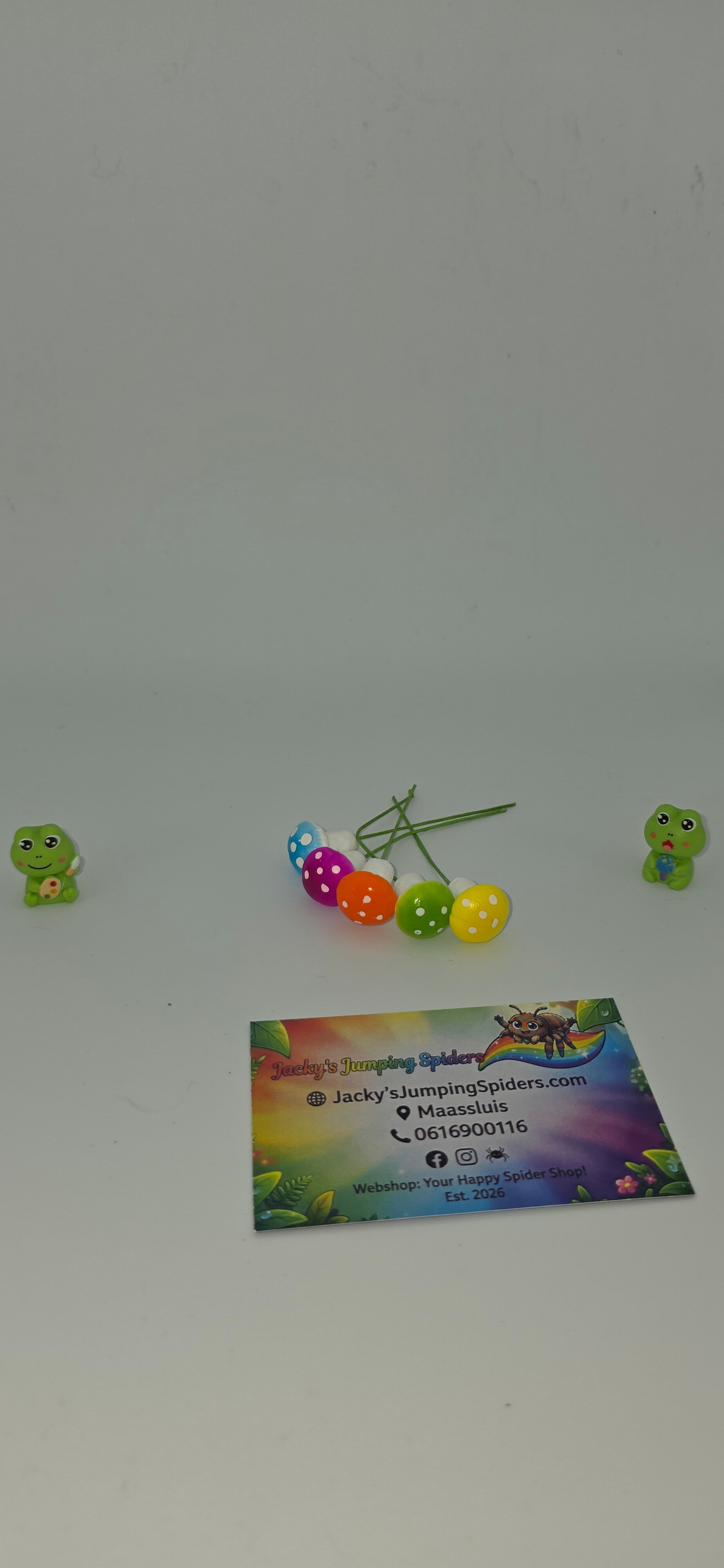 Decoratie "Paddestoeltjes"