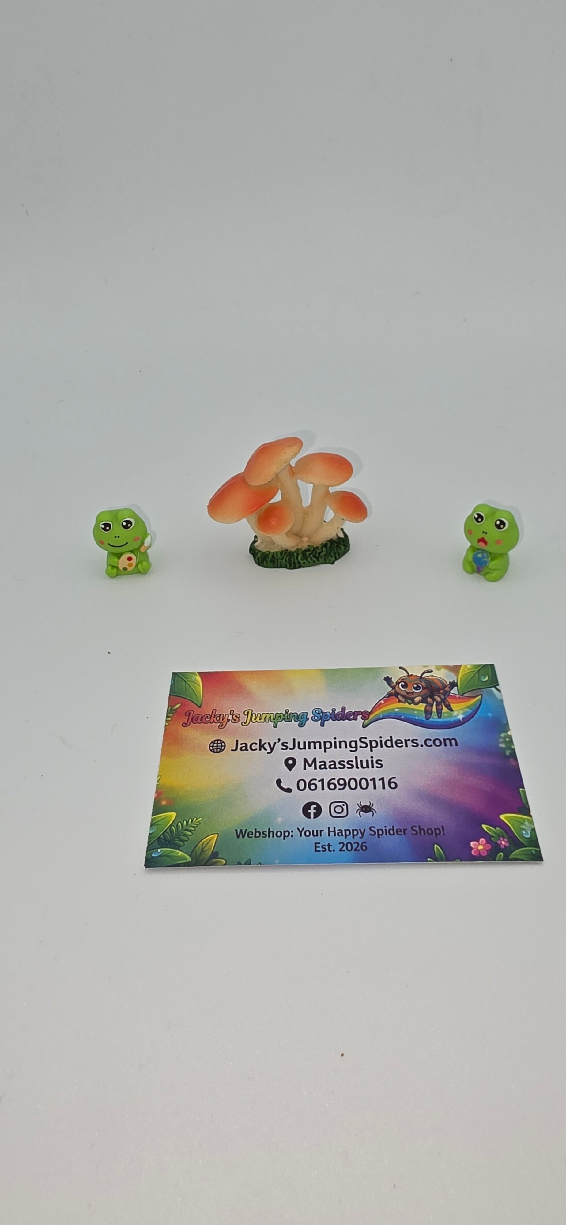 Decoratie "Paddestoel"  2