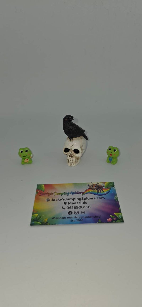 Decoratie "Skelet"