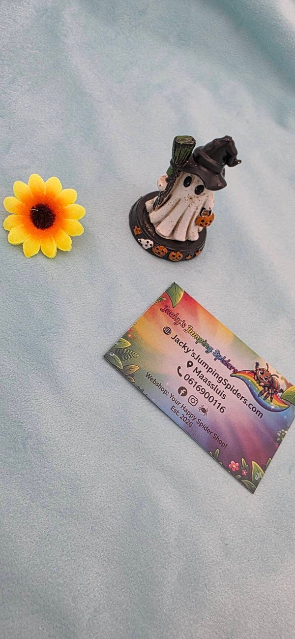 Halloween Deco "Spookje"