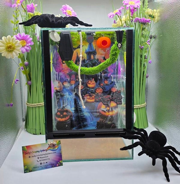 Verblijf Deluxe "Happy Halloween " Glas.