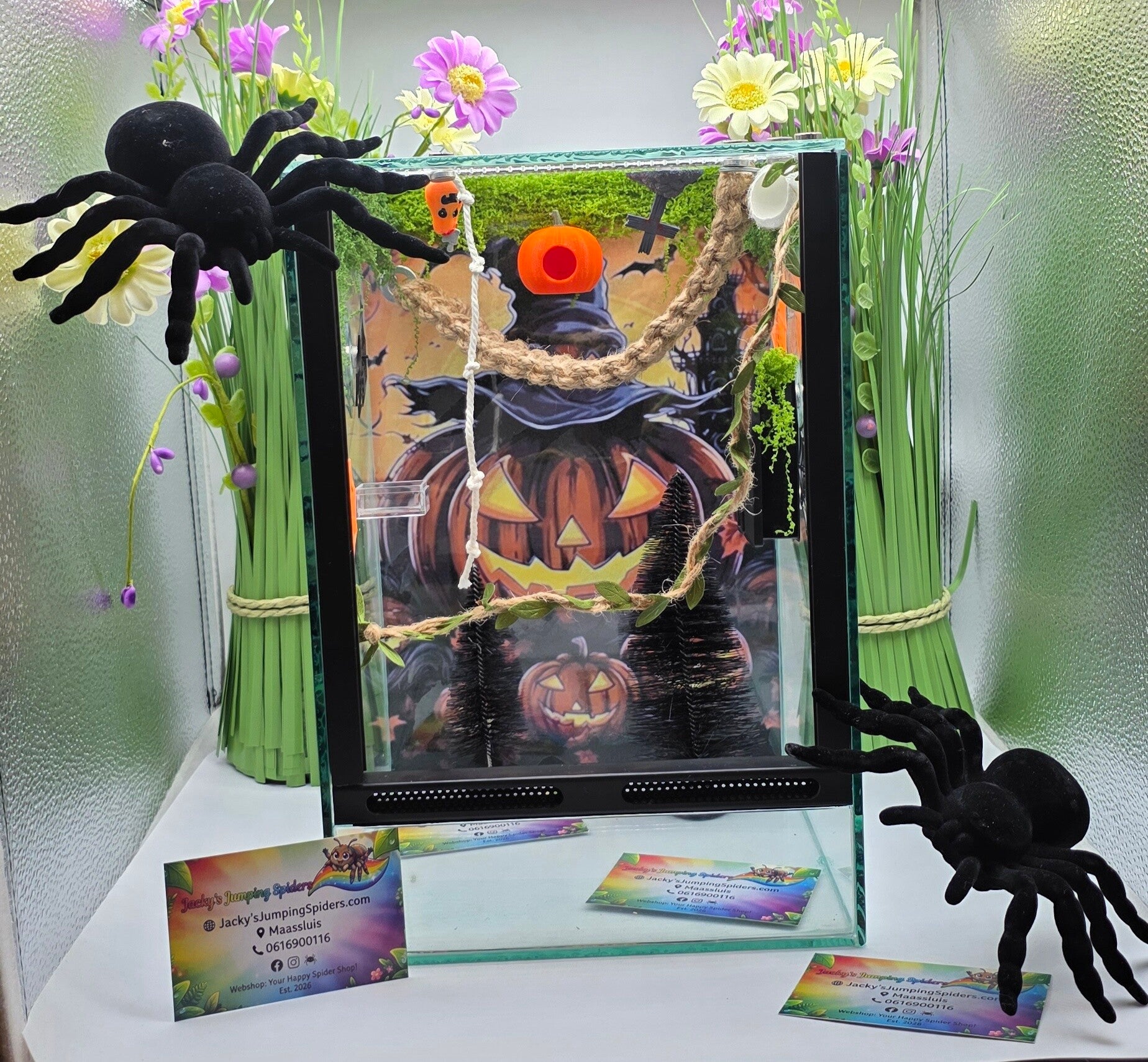 Verblijf Deluxe "Halloween Big Pumpkin" Glas