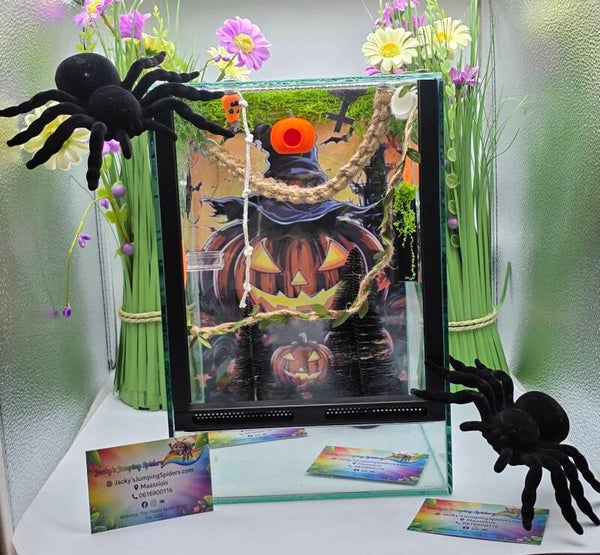 Verblijf Deluxe "Halloween Big Pumpkin" Glas