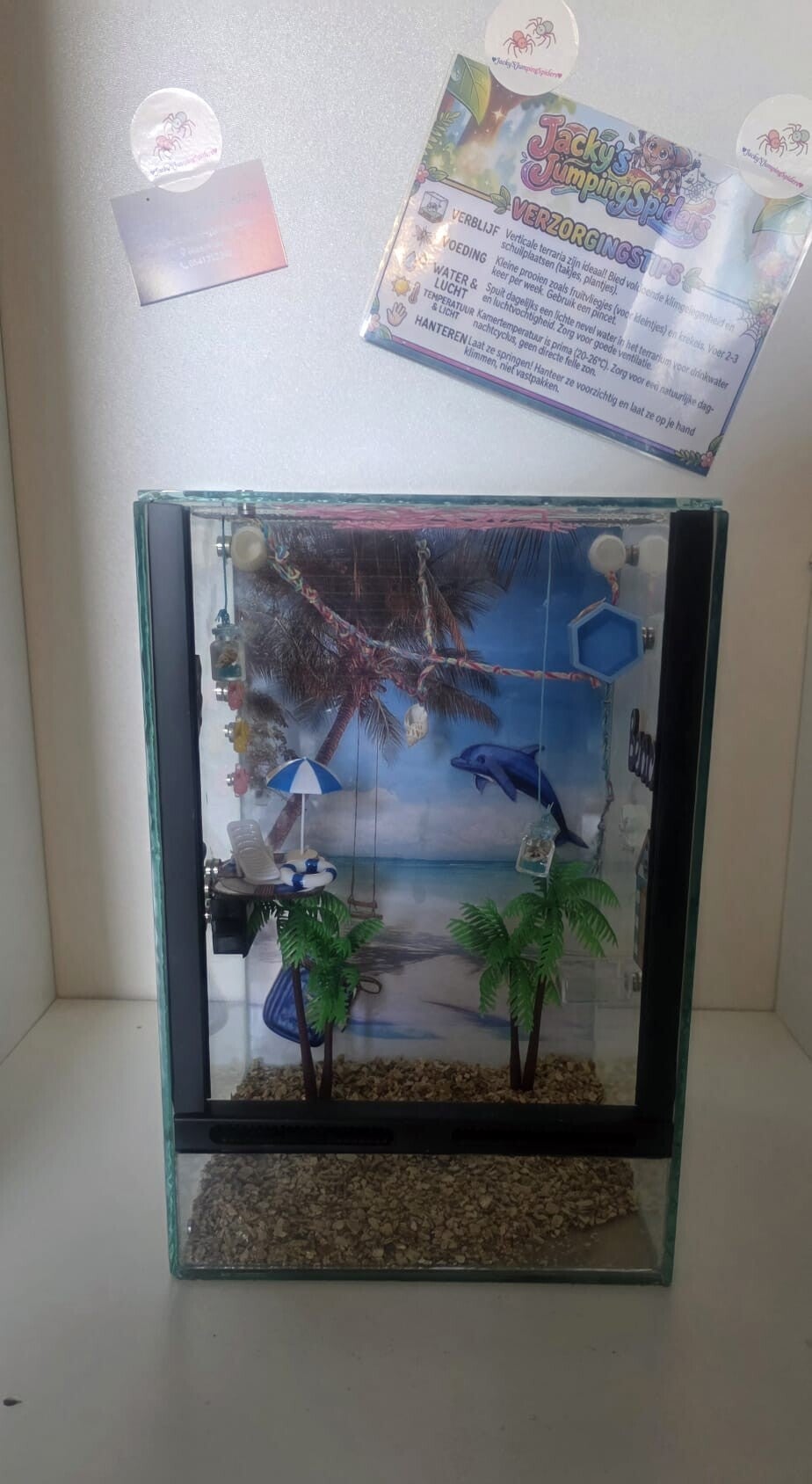 Verblijf Deluxe "Beach House" Glas.