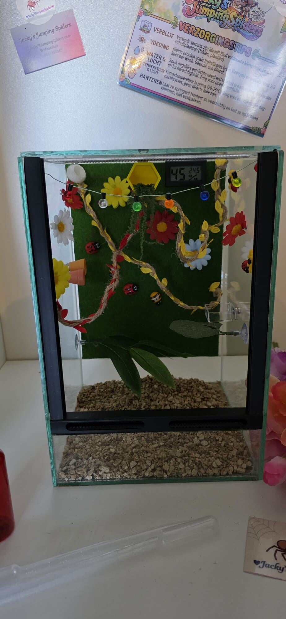 Verblijf Deluxe "Flowers" Glas.