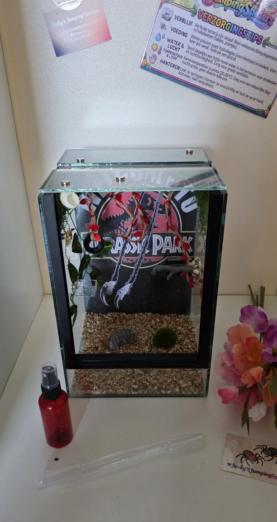 Verblijf Deluxe "Jurassic Park" Glas.