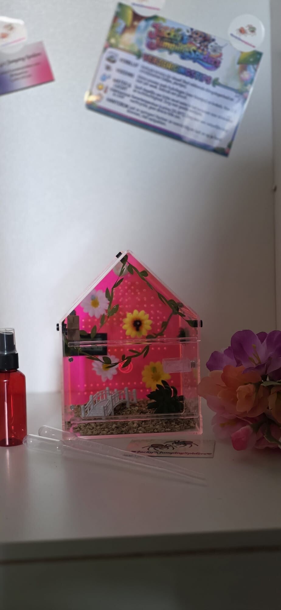 Verblijf Gekleurd "Roze"