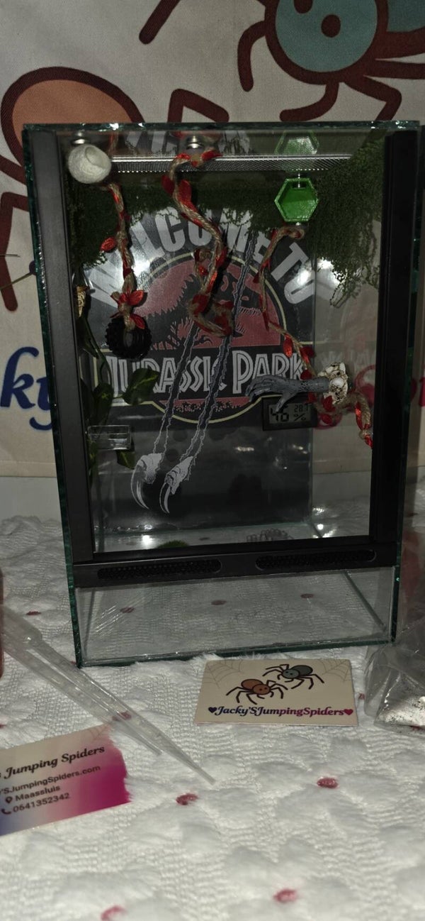 Verblijf Deluxe "Jurassic Park" Glas.