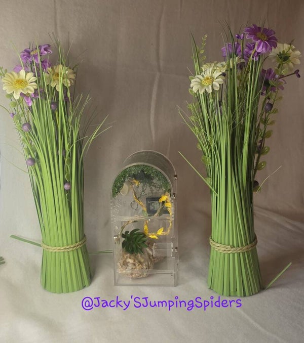 Terrarium "Rond"