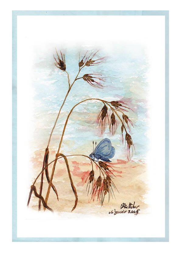 2005x001a 30x40cm
