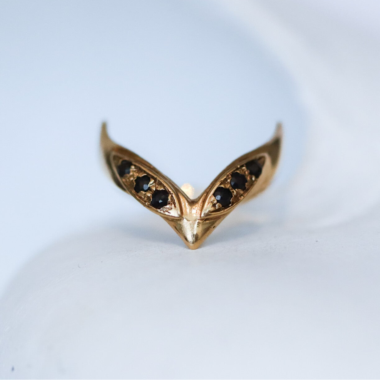 Wishbone wings