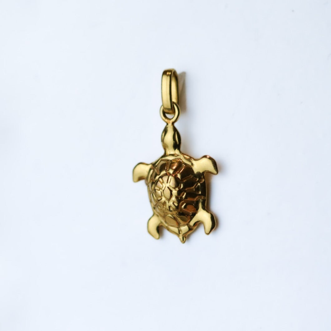Turtle charm