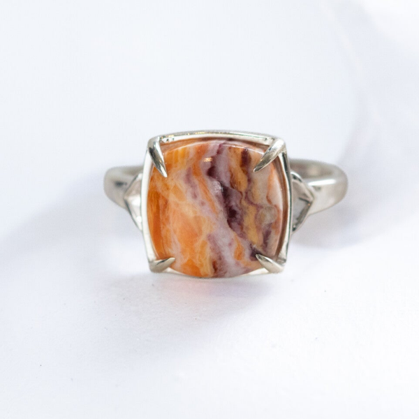 Silver Jasper