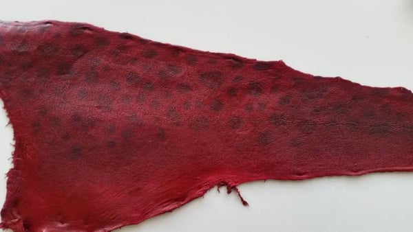 Wolffish crimson