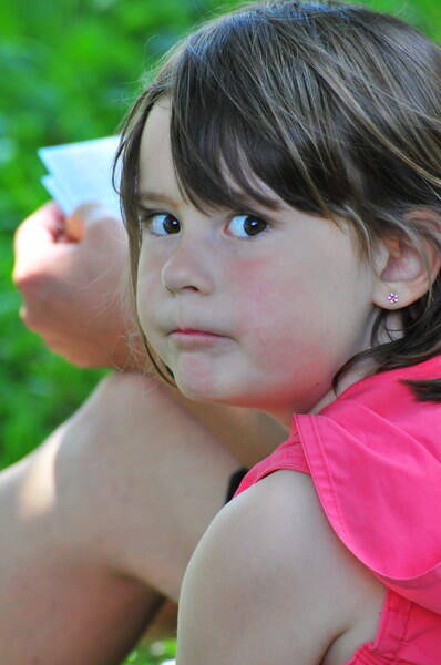 fp2_2043-standard.jpg