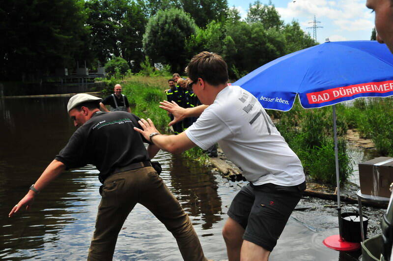 fp2_2086-standard.jpg