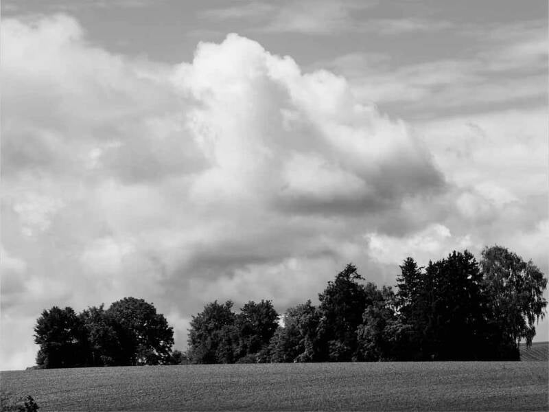idg_20260605_112959_506-2-standard-f5oz6t.jpg