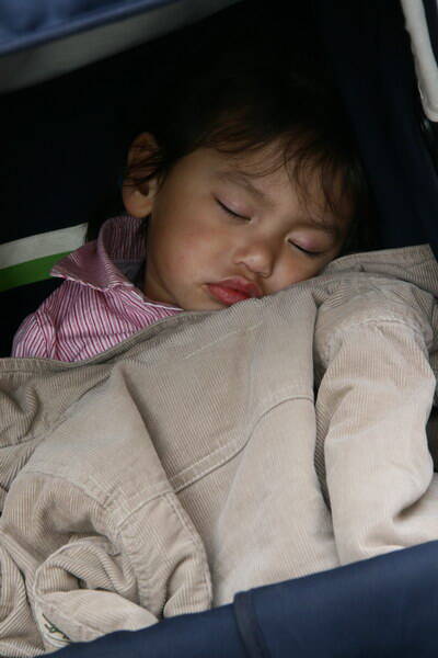 img_4440-standard-1096hj.jpg