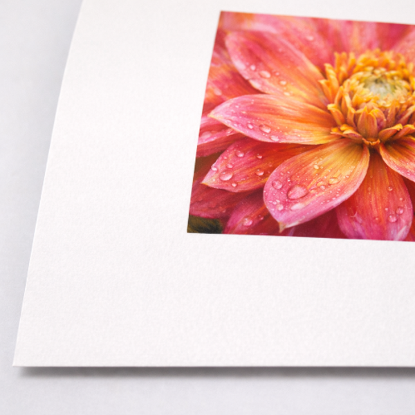 Premium Archival Smooth Matte Fine Art Paper