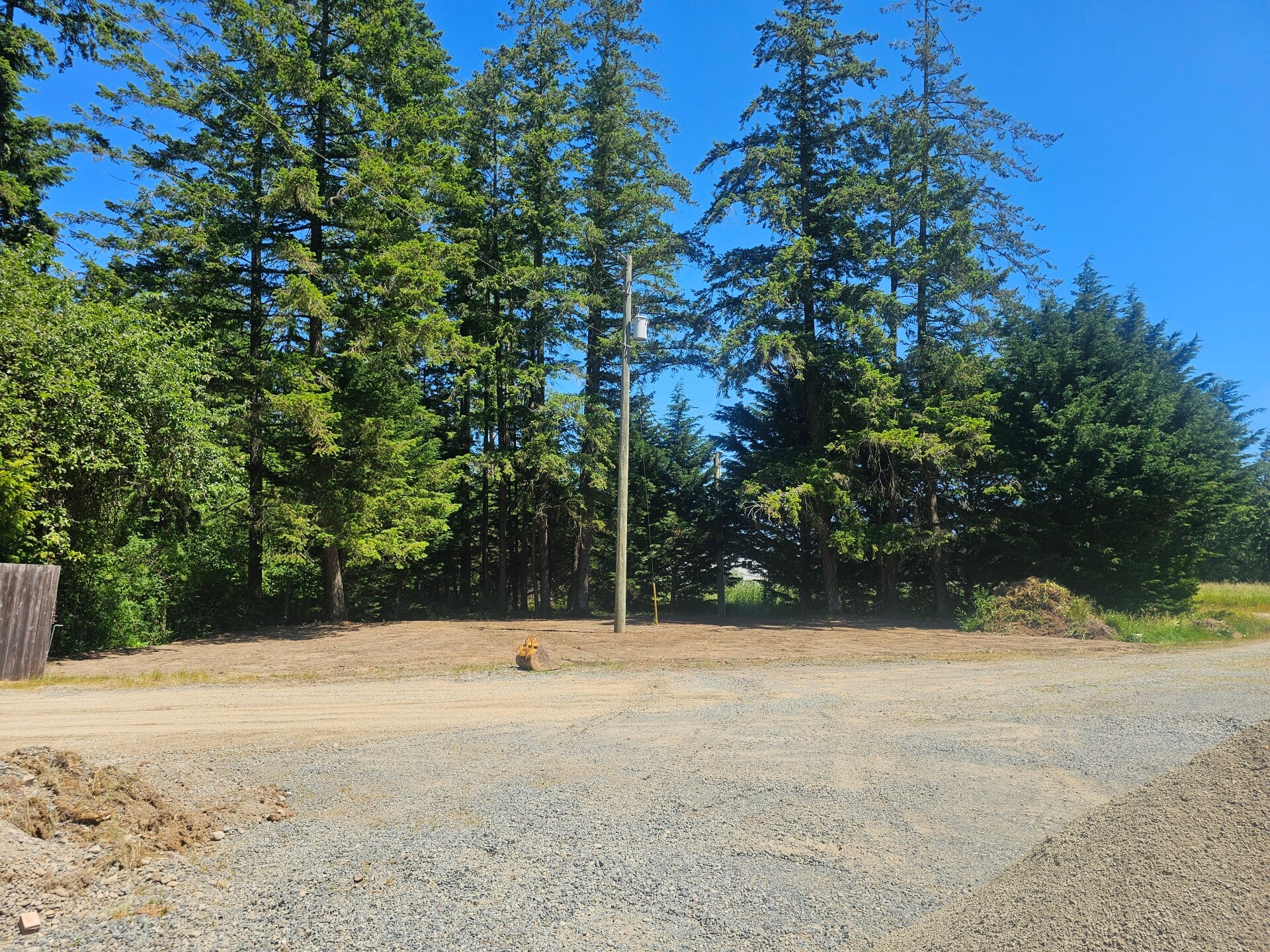 20250607_135633-standard.jpg