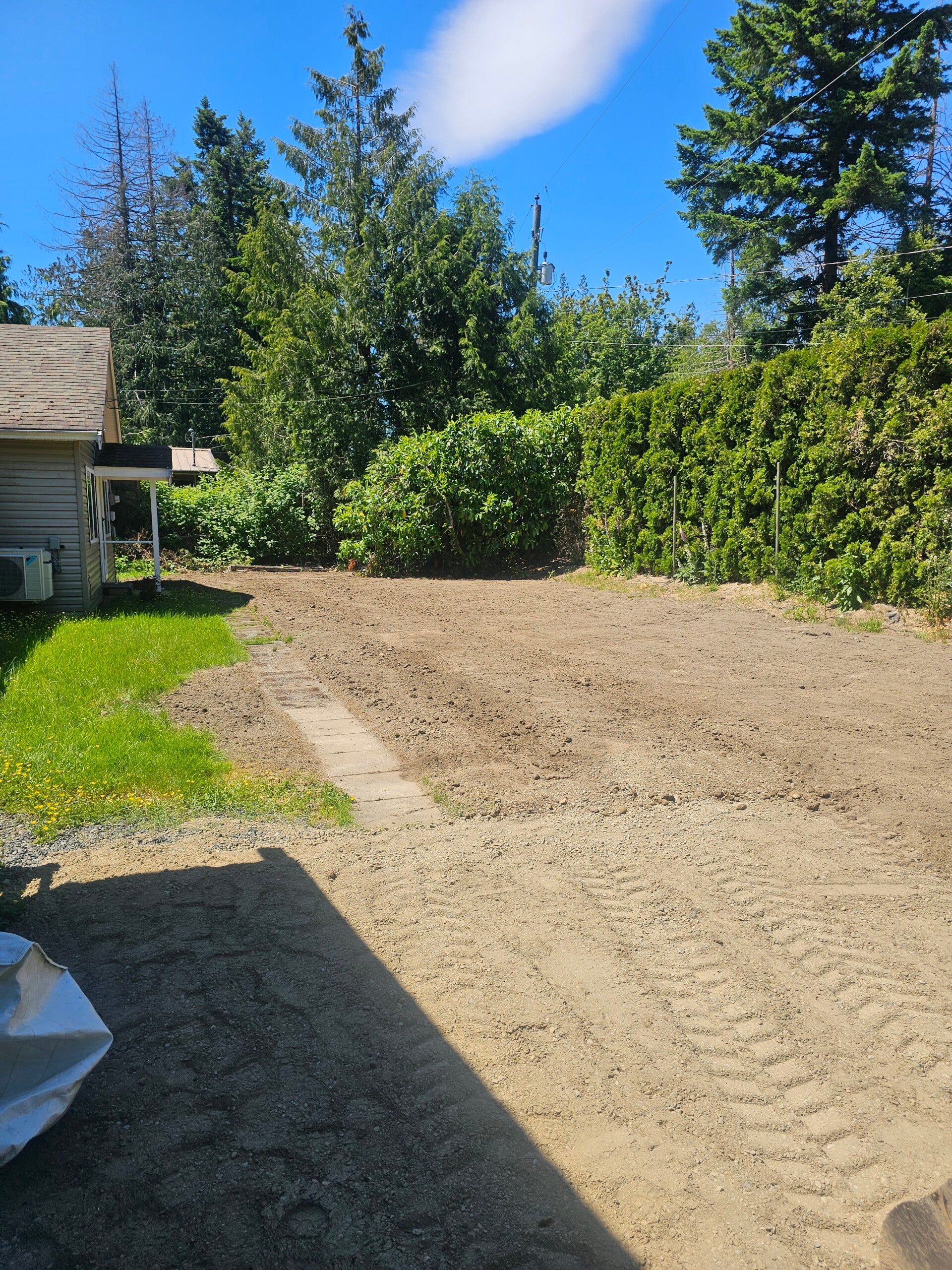 20250607_135648-standard.jpg
