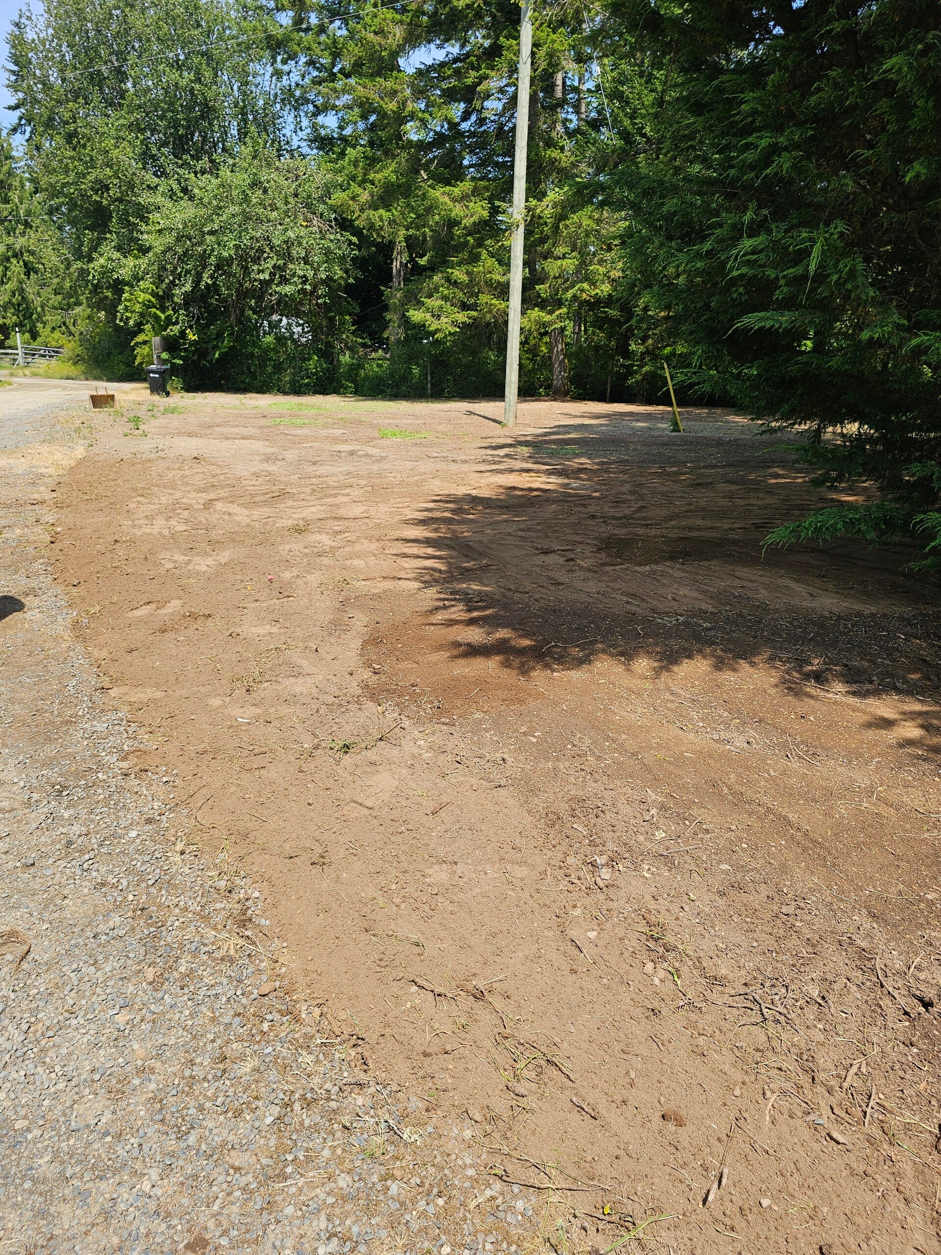 20250623_124307-standard.jpg