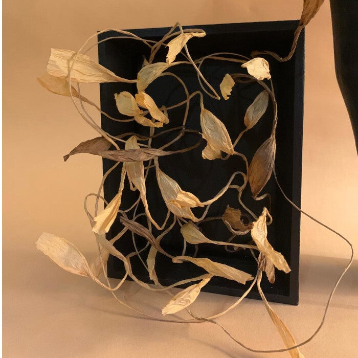 Délicatesse Végétale Petit