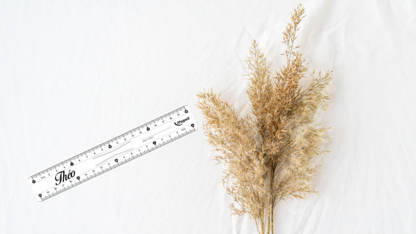 Règle - Double Décimètre