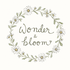 Wonder &amp; Bloom