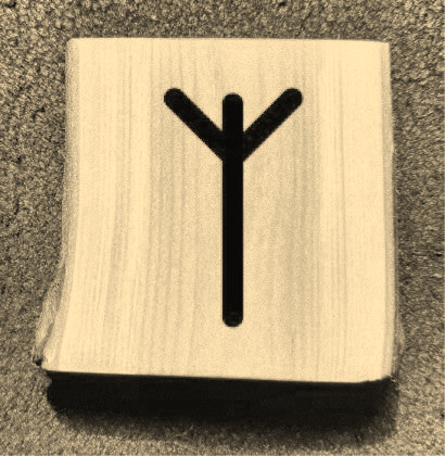 Rune Algiz