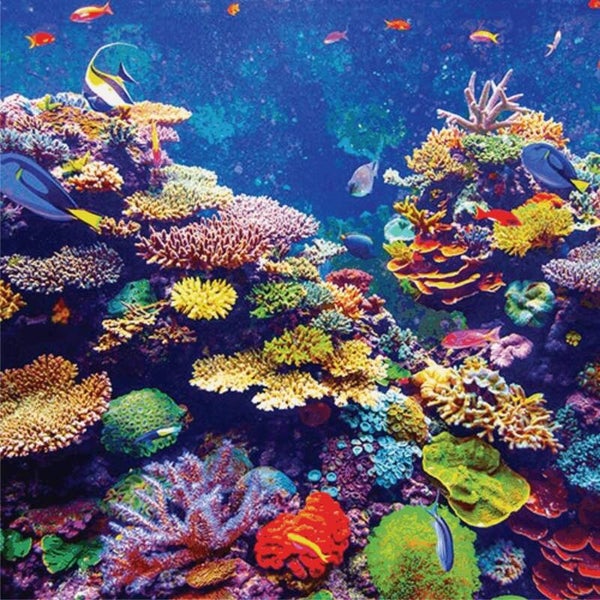 Blanco kaart Coral Reef (FL UK 013)