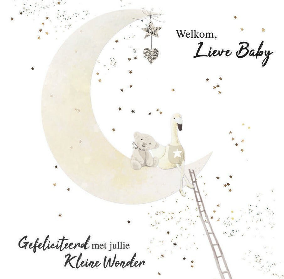 Welkom lieve baby  (Bliss 011 PVE358)